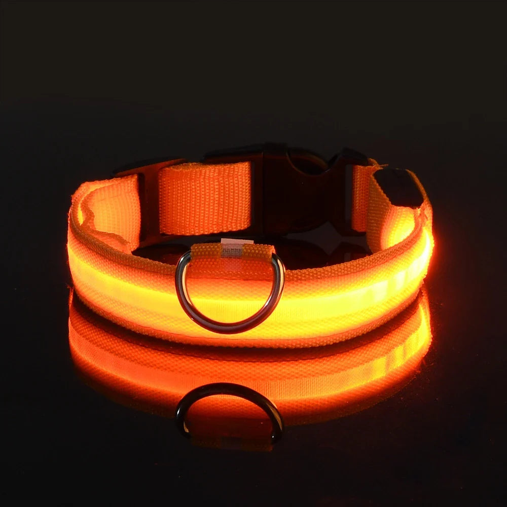 Nylon LED Night Safety Flashing Glow In The Dark Dog