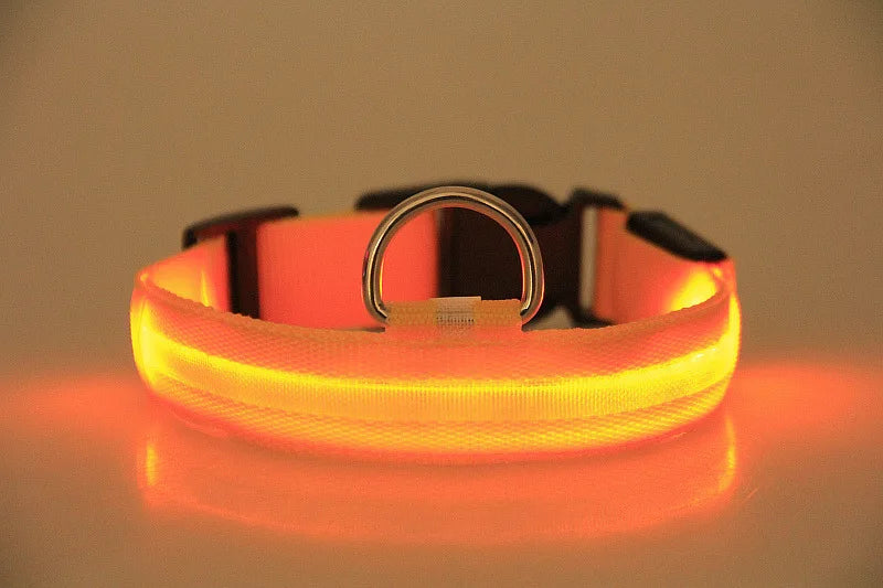 Nylon LED Night Safety Flashing Glow In The Dark Dog